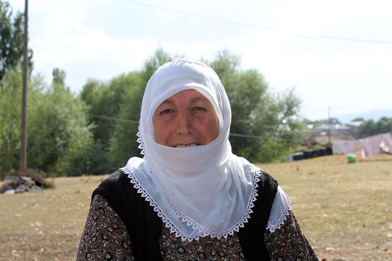 Sarılık hastalığına yakalanmasın diye koyunlar kırkılıyor Sarılık hastalığına yakalanmasın diye koyunlar kırkılıyor